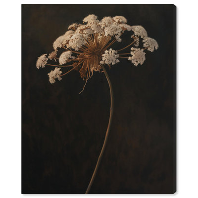 Lace Against the Void Canvas Gothic Botanicals by Art Remedy