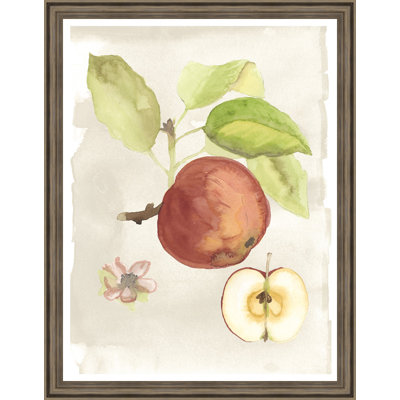 « aquarelle fruit iv », reproduction de peinture à l’aquarelle encadrée