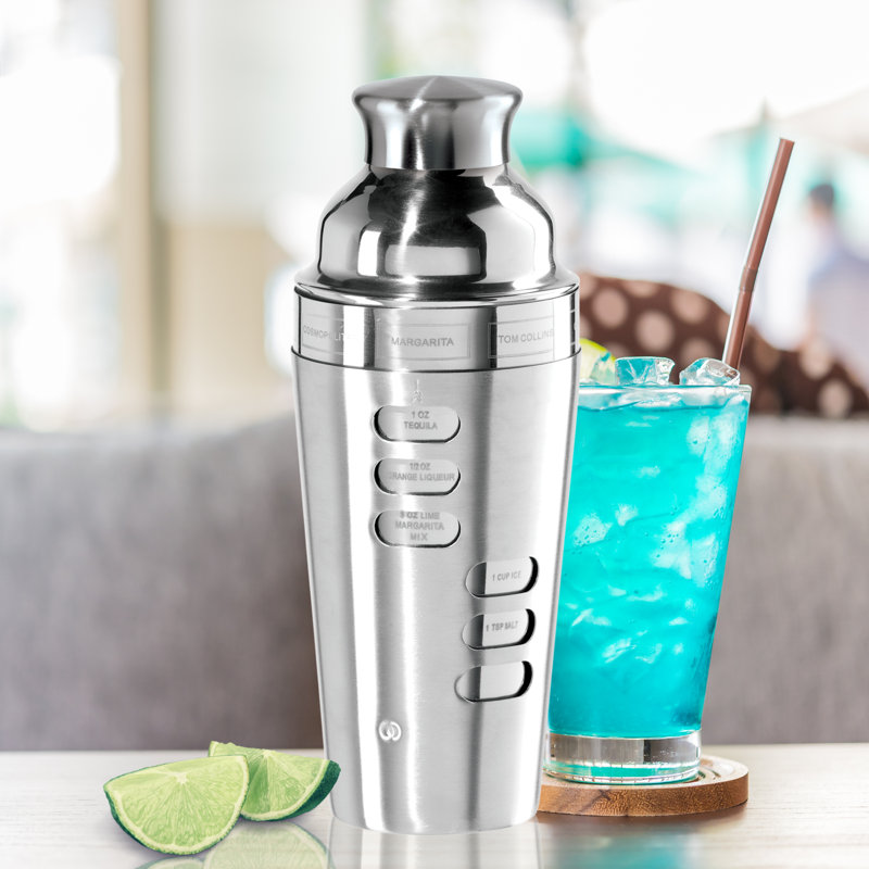 Shaker à cocktail en acier inoxydable 23 oz avec 8 recettes Oggi Barware, Argent