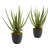 Aloe Artificial Plant (Set of 2)