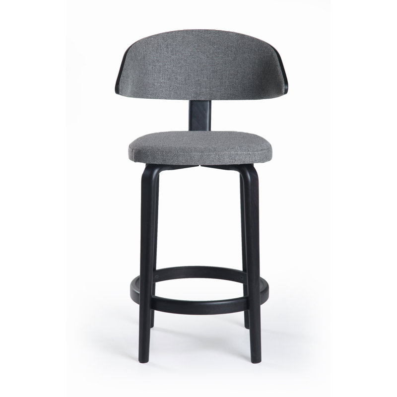Fila Upholstered 26'' Counter Stool with Solid Wood Frame, Transparent Black