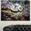 « belle fond avec poisson », reproduction de photo sur toile tendue-25566359