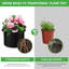 Planter Box