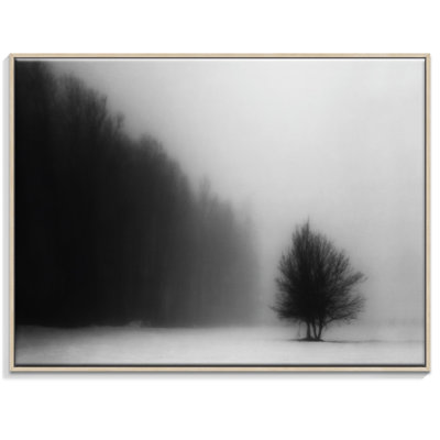Print on Canvas