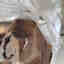 Photos des clients 2 de 5