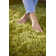 Coopers Olive Green Shaggy Rug