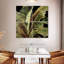 Harnek Uraba Palm sur fond noir