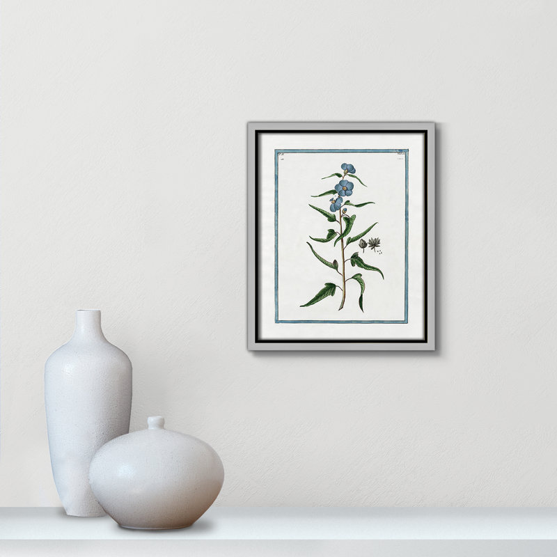«Shabby Soft Shabby Elegance Botanical I» par Kelly Donovan, reproduction sur toile flottante, H 11,5 po x l 9,5 po x P 2 po