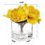 Magnolia dans un vase-947568482