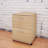 Carter 2-Drawer Vertical Filing Cabinet-22960037