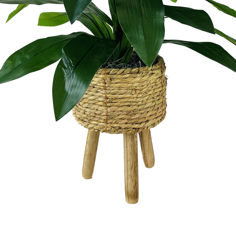 Callender 17.50" Artificial Dracaena Plant in Basket, Natural