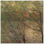 Claude Monet - Wrapped Canvas Painting-21211082