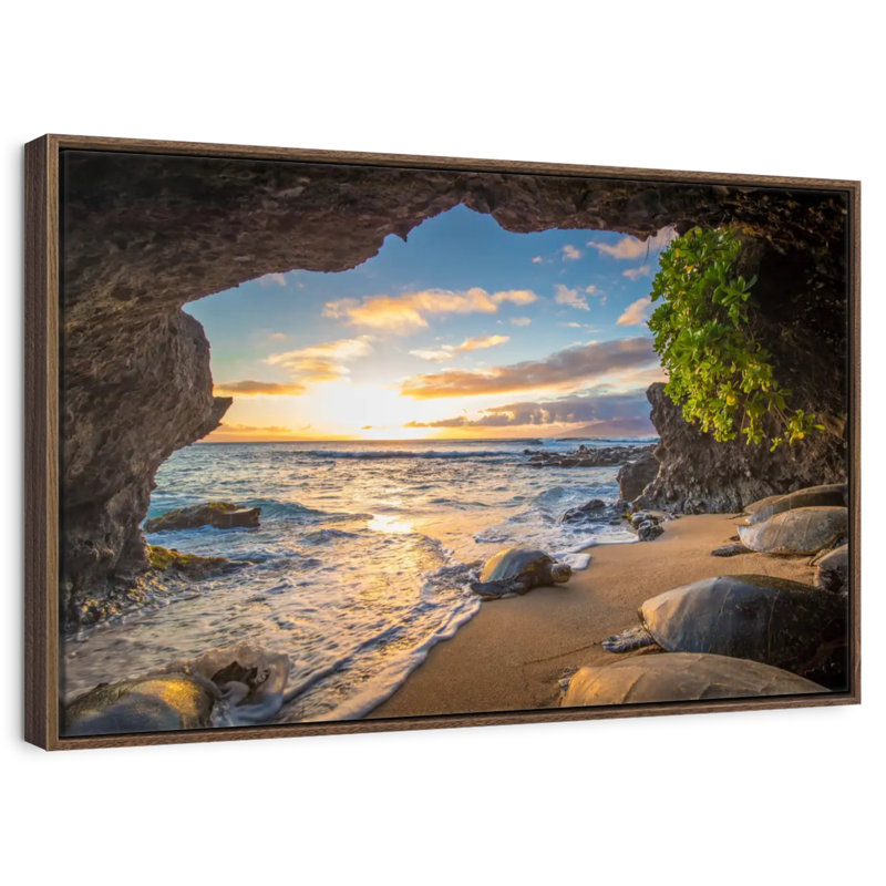Tortue Maui, 37 po x 25 po, Cadre flottant noyer
