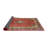Pola Oriental Indoor Rug-816675957