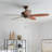 52'' Ceiling Fan-1187541487