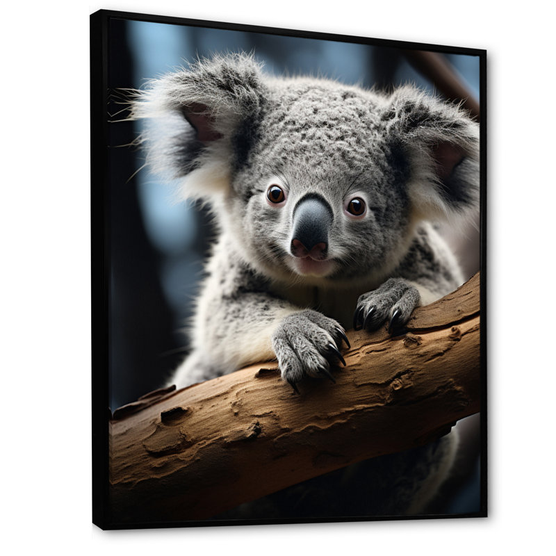 Koala Koalas Serenity - animaux, reproduction sur toile, H 32 po x l 16 po x P 1 po, Cadre flottant noir