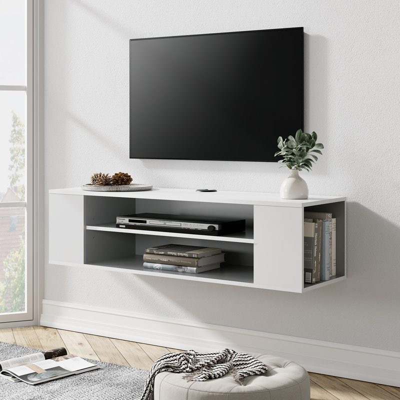 Meuble télé pour téléviseur de 50 po ou moins Meghna, Gris / Blanc