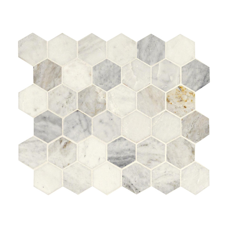 Carreau de marbre et mosaïque en marbre aiguisé hexagonal 12 po x 12 po Castella de Blanc