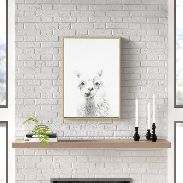 Wade Logan® Audel Sylvie Natural Alpaca Framed On Canvas by Simon Te Tai  Print  Reviews Wayfair