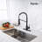Rainlex Pull Down Kitchen Faucet