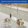 Pull Down Single Handle Kitchen Faucet with Accessories