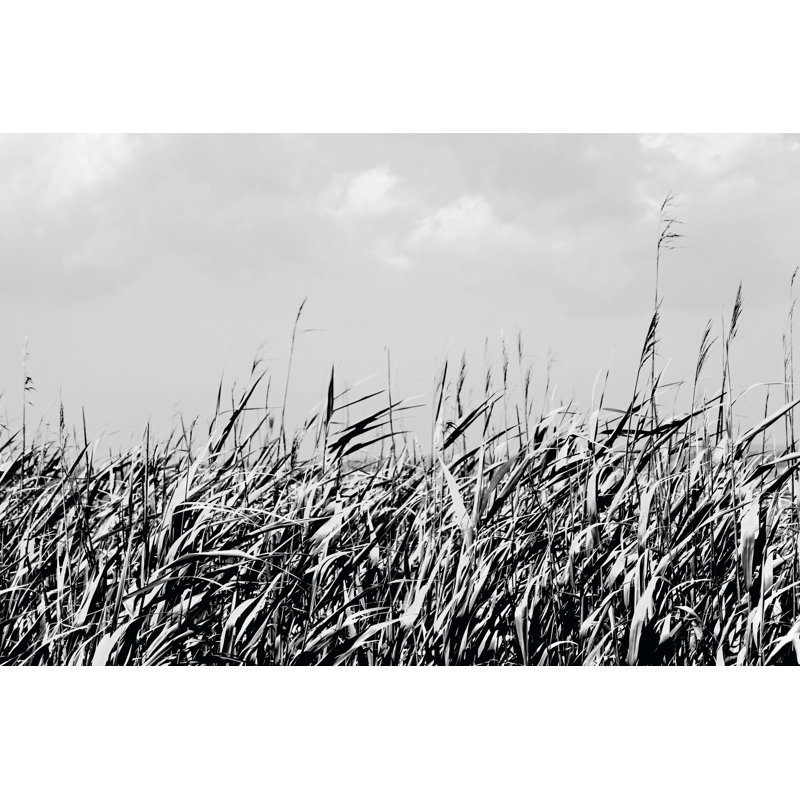 Dune Triptych II by Jeff Pica - Wrapped Canvas Print, 30cm H x 46cm W 