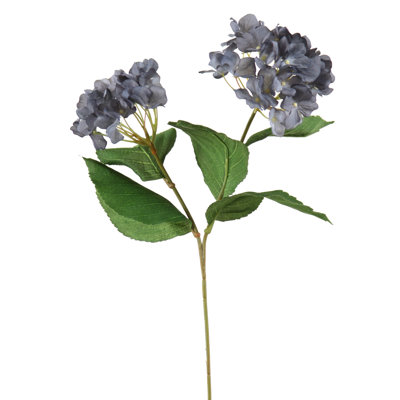 Nouvelle tige hortensia antique