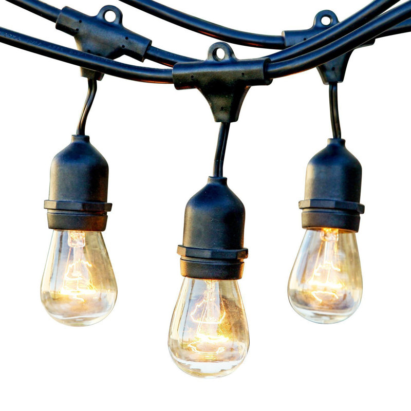 Guirlande lumineuse d'extérieur à 8 ampoules de 24,5 po Rentas