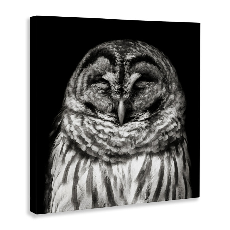 «Sleeping Owl Portrait» par Kathy Mansfield, H 36 po x l 36 po