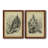 " The Larch " 2 - Pieces-120827173-120827175