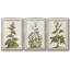 «Munting Botanicals IV», ensemble de 3 toiles encadrées-97709102-97709107