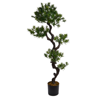 Panama 59" Yucca Bonsai Tree in Pot
