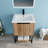 Dejana 24 " W Freestanding Standard Free Standing 1 Single Vanity Bathroom Vanity With Resin Top-1857540383-1857540376