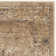 Evanoff Taupe Area Rug