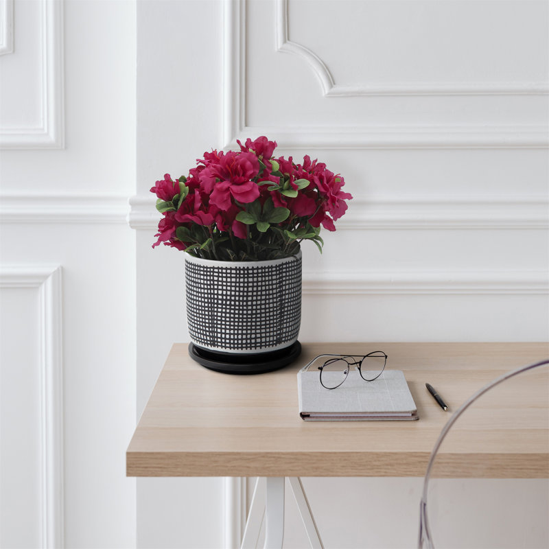 Pot à fleurs 6 "en maille avec soucoupe