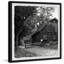 Vieille grange-reproduction de photo sur papier encadrée-30011327