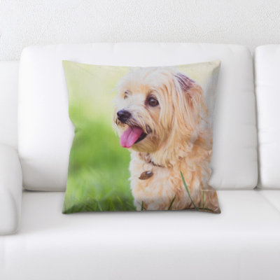 Coussin pour chien