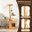 129 cm H Cat Tree / Condo