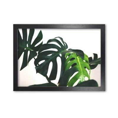 Monstera Leaf Landscape - Print