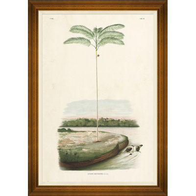 African Palms Giclee Print