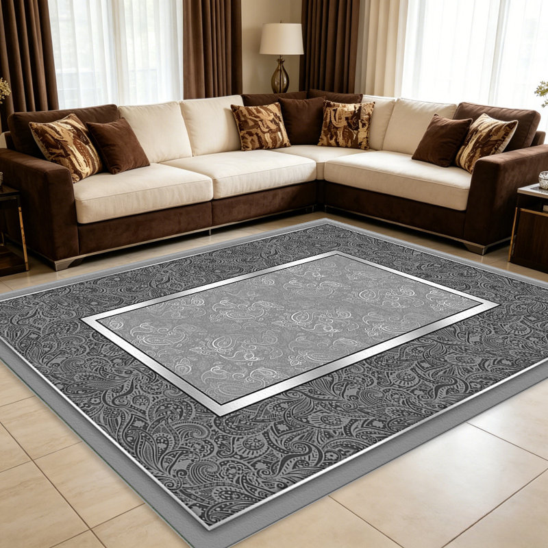 Gray Paisley Border area rugs for Living Room, Soft and Comfortable, Suitable for all seasons, easy to maintain, machine washable Indoor floor mat, Under Table Farmhouse suitable for Bedroom, Dining Room, Study, Patio, Balcony, Home Decor