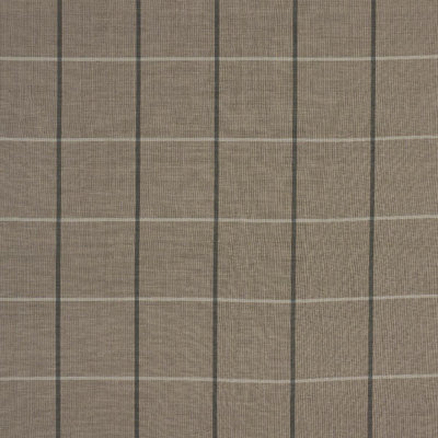 Tissu quadrillé Schumacher X Caroline Z Hurley
