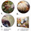 «Red Melody Rooster S Flower Gardens - Rooster Animal», art mural en métal MT135926-1373712723