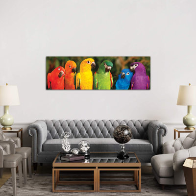 Rainbow Parrots 1 Piece Wrapped Canvas Panoramic Wall Art