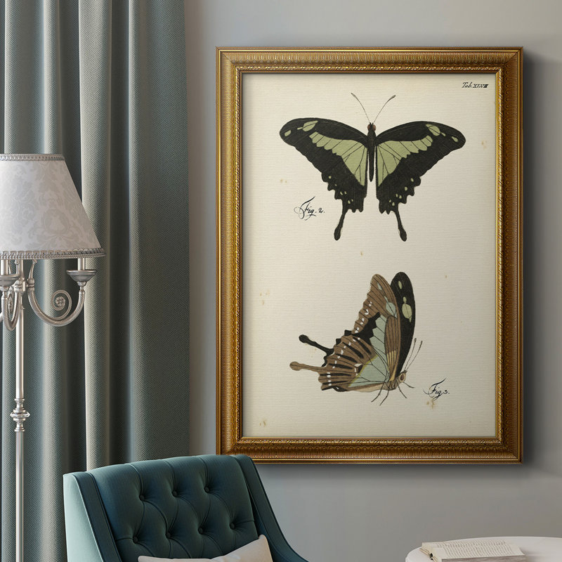 Butterfly Profile III - Peinture sur toile encadrée, L 16 po x H 20 po