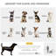 Foldable Pet Stroller-100488081