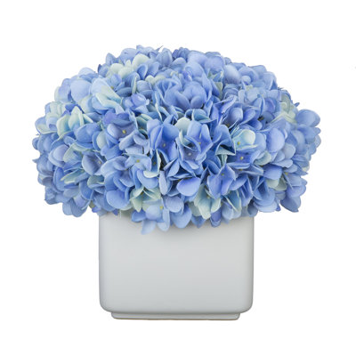 Hydrangea Arrangement