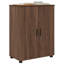 Bathroom Cabinet