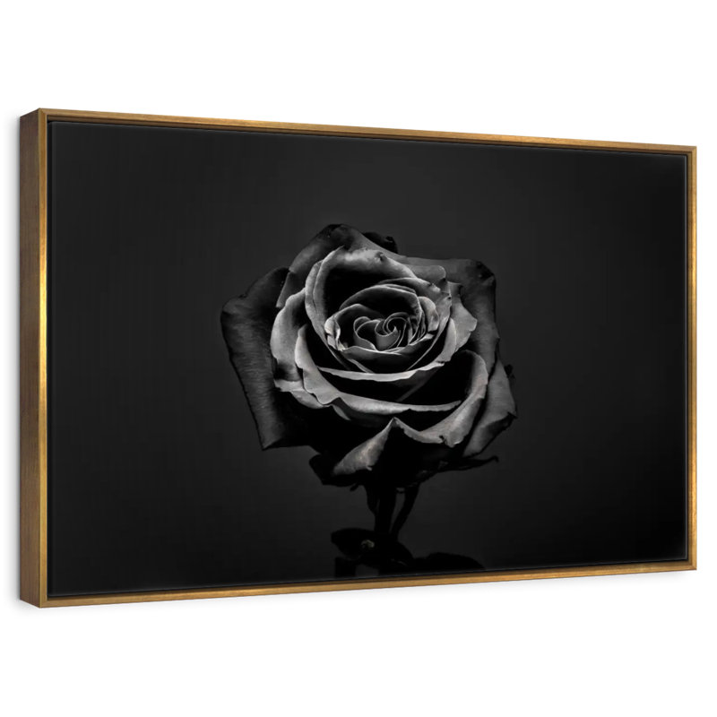 Rose noire, Cadre flottant doré, 13 po x 9 po