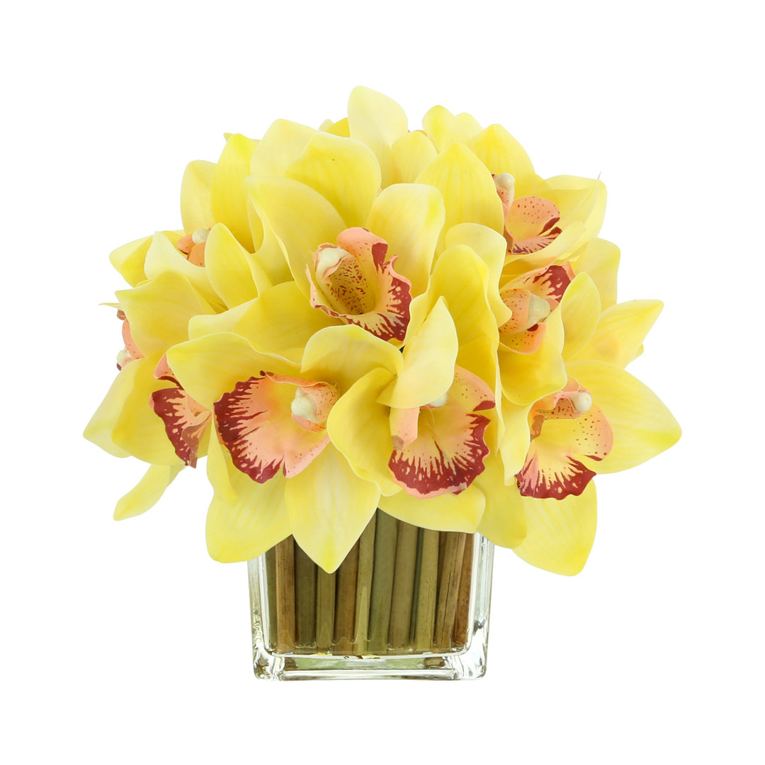 Orchids Arranged in Bamboo-Filled Glass Vase Primrue Flower 